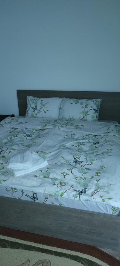 Sibiu Apartament Boekarest Buitenkant foto